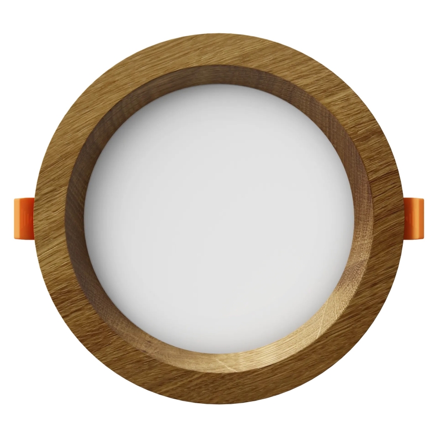 APLED - Lámpara empotrable LED RONDO WOODLINE LED/6W/230V 3000K diá. 15 cm roble madera maciza