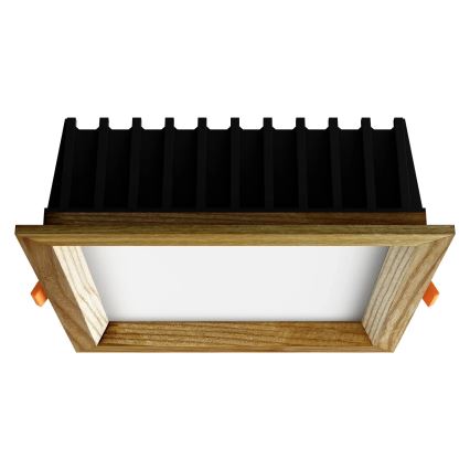 APLED - Lámpara empotrable LED SQUARE WOODLINE LED/12W/230V 4000K 17x17 cm ceniza madera maciza