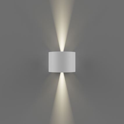 APLED - LED Aplique exterior OVAL 2xLED/3W/230V IP65