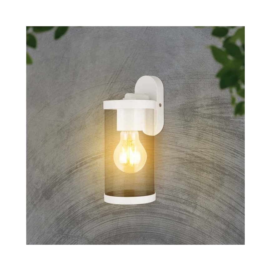 Aplique de exterior 1xE27/60W/230V IP44 blanco