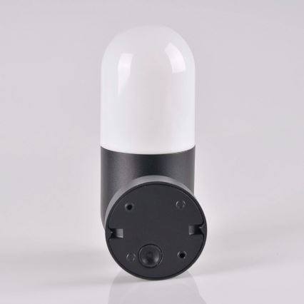 Aplique de exterior HORTEN 1xE27/10W/230V IP44