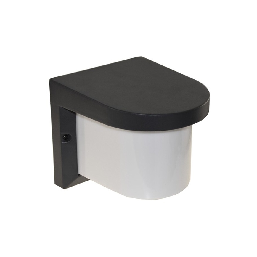 Aplique de exterior PETUNIA 1xE27/60W/230V IP44 antracita