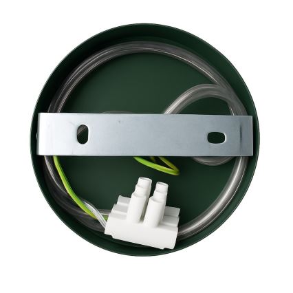 Aplique de pared CAPITAL 1xGX53/15W/230V verde