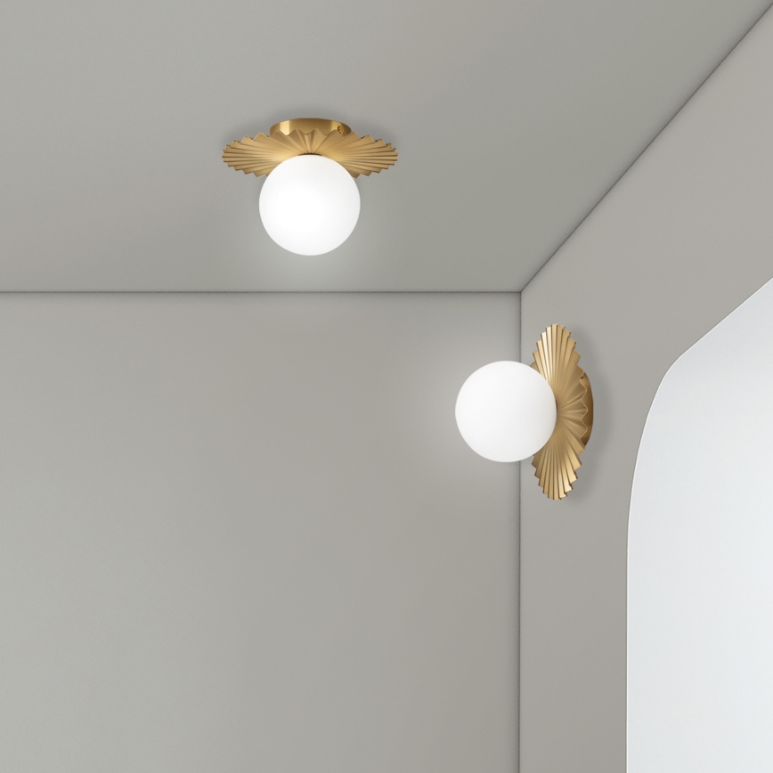 Aplique de pared CHITA 1xG9/5W/230V, acabado dorado