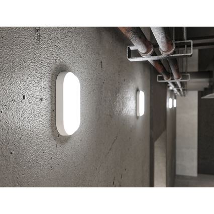 Aplique de pared exterior LED/12W/230V IP54 blanco