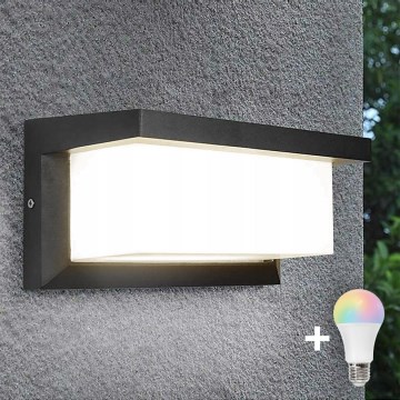 Aplique de pared exterior LED regulable RGBW NEELY 1xE27/9W/230V 2700-6500K IP54 Wi-Fi antracita