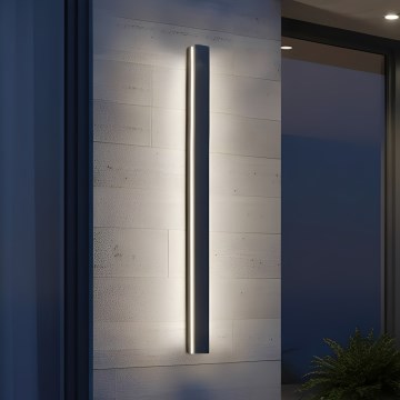 Aplique de pared exterior MIRANA LED/25W/230V 4000K IP44 120 cm negro