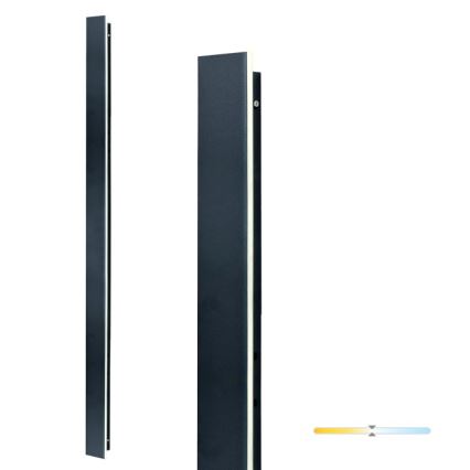 Aplique de pared exterior MIRANA LED/25W/230V 4000K IP44 120 cm negro