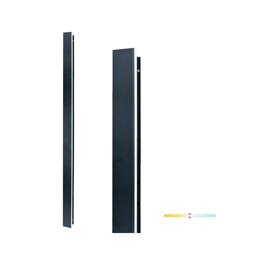 Aplique de pared exterior MIRANA LED/25W/230V 4000K IP44 120 cm negro