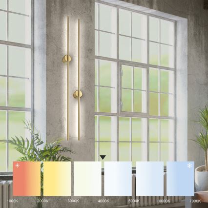 Aplique de pared LED LANA LED/12W/230V 4000K oro mate