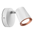Aplique de pared LED LED/5W/230V 4000K blanco