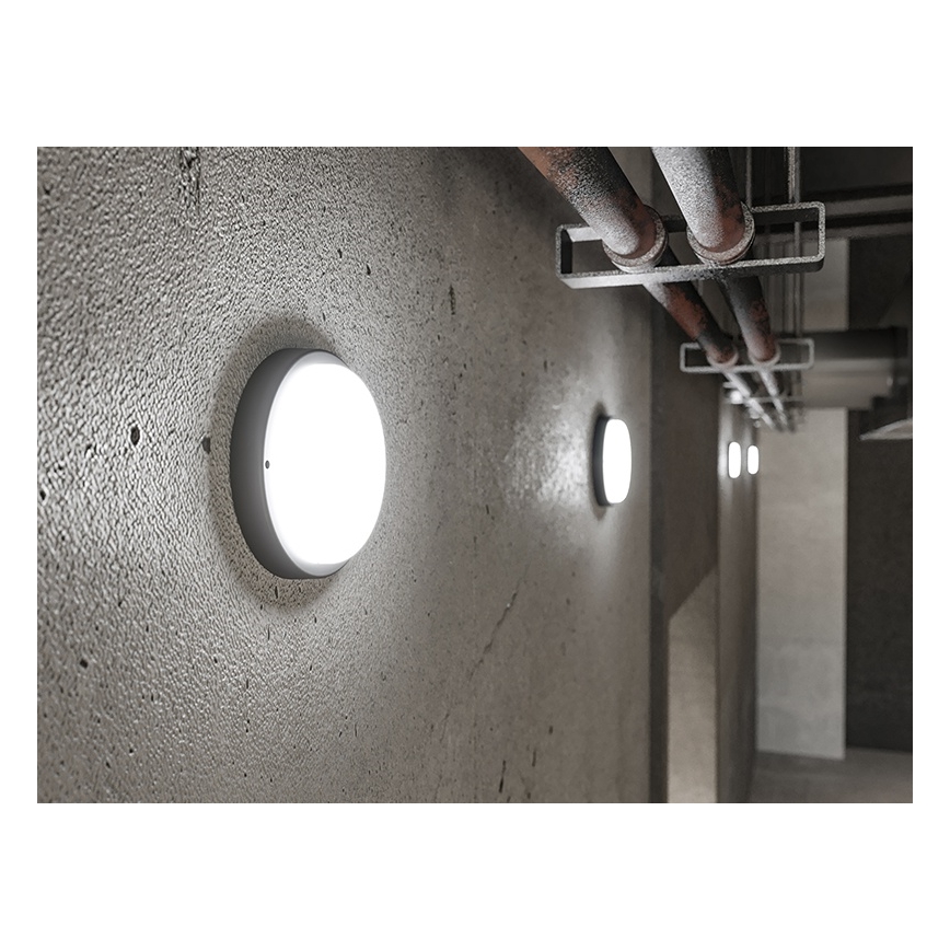 Aplique de pared LED para exterior, 18 W, 230 V, IP54, negro