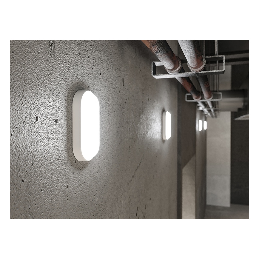 Aplique de pared LED para exterior, 6W, 230V, IP54, blanco