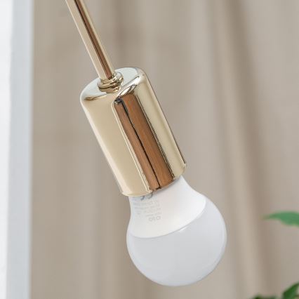 Aplique de pared OXFORD 1xE27/15W/230V dorado