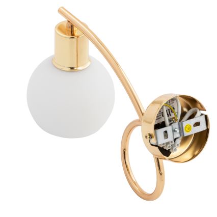 Aplique ERYKA 1xE14/10W/230V dorado