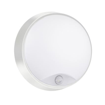 Aplique LED de exterior con sensor LED/15W/230V 4000K IP65