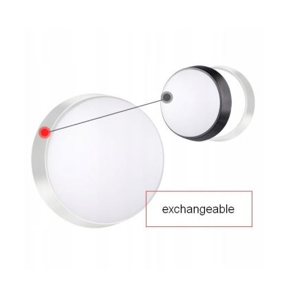 Aplique LED de exterior con sensor LED/15W/230V 4000K IP65