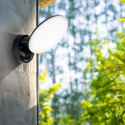 Aplique LED de pared para exterior OLAF LED/10W/230V IP44 negro