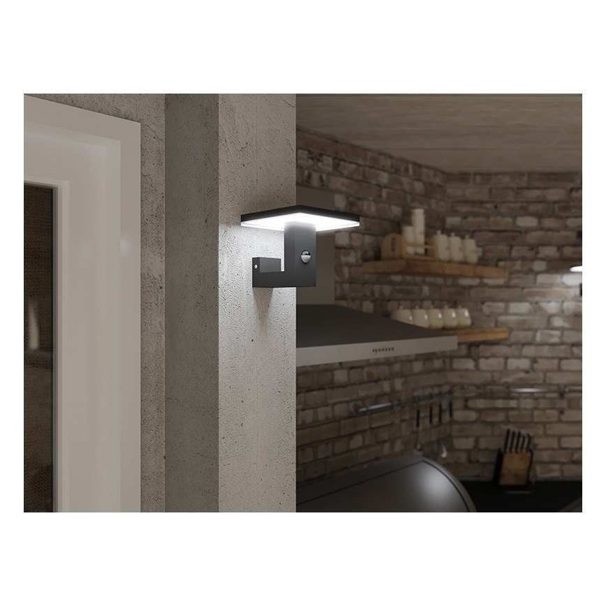 Aplique LED para exterior BARI LED/10W/230V 4000K IP54 antracita