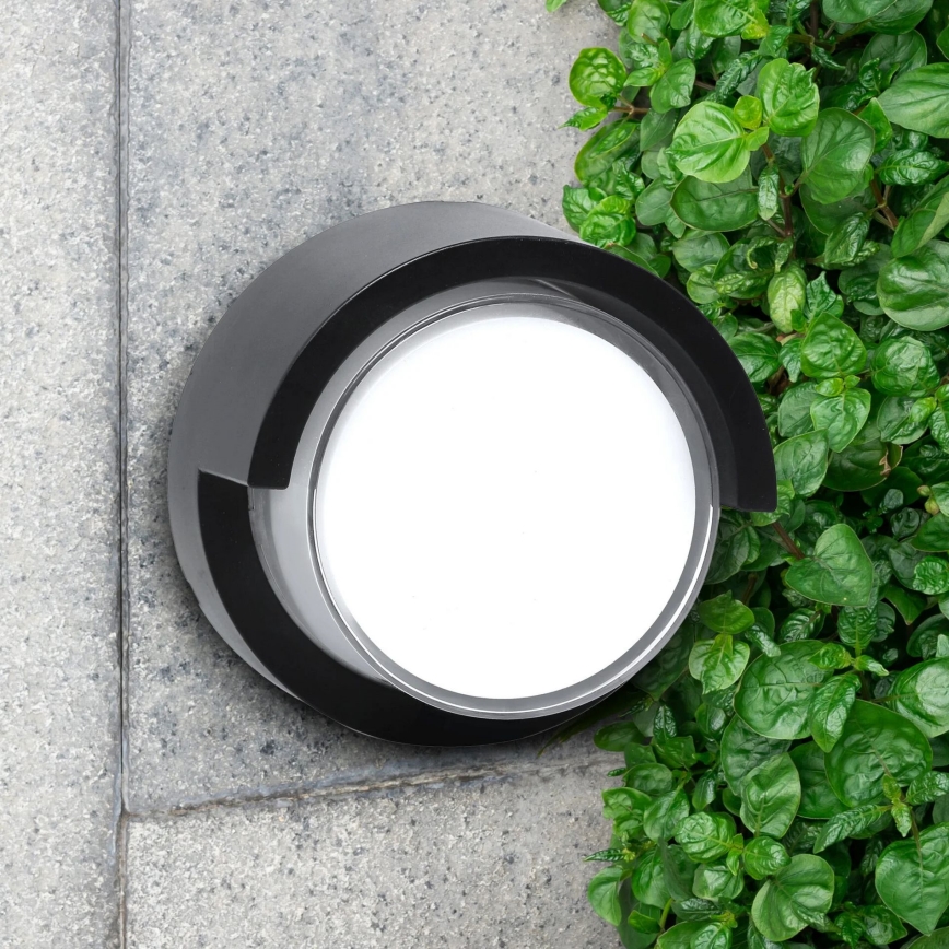 Aplique LED para exterior ESSEN LED/10W/230V IP44 negro