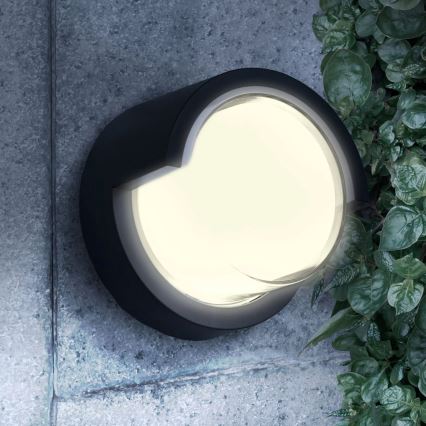 Aplique LED para exterior ESSEN LED/10W/230V IP44 negro
