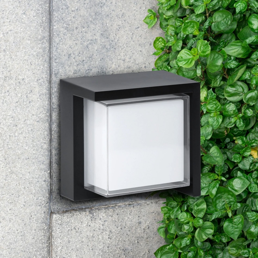 Aplique LED para exterior ESSEN LED/12W/230V IP44 negro