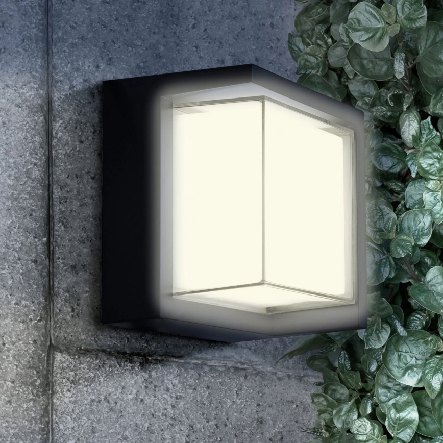 Aplique LED para exterior ESSEN LED/12W/230V IP44 negro