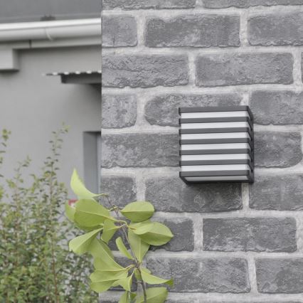Aplique LED para exterior MAXWELL LED/10W/230V IP54 antracita