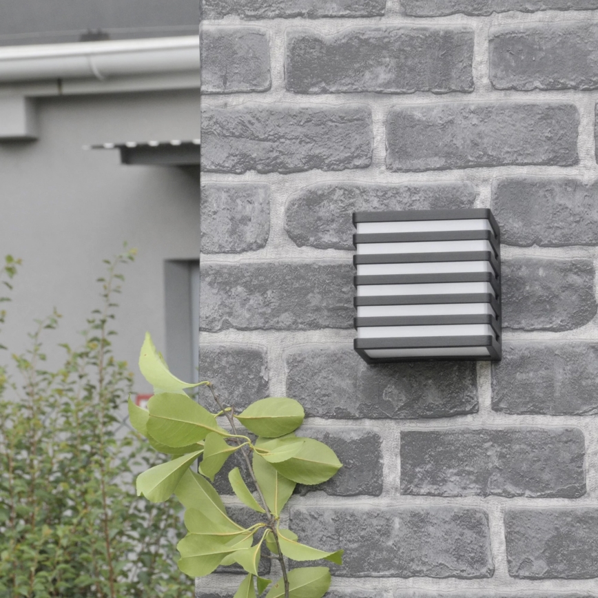 Aplique LED para exterior MAXWELL LED/10W/230V IP54 antracita