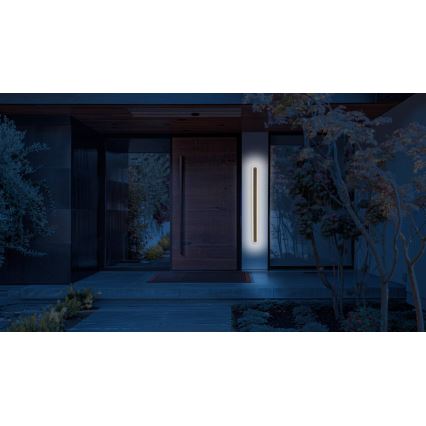 Aplique LED para exterior STICK LED/36W/230V IP65 3000K 120 cm