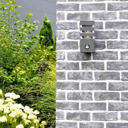 Aplique para exterior con sensor TEKSAS 1xE27/12W/230V IP44 antracita