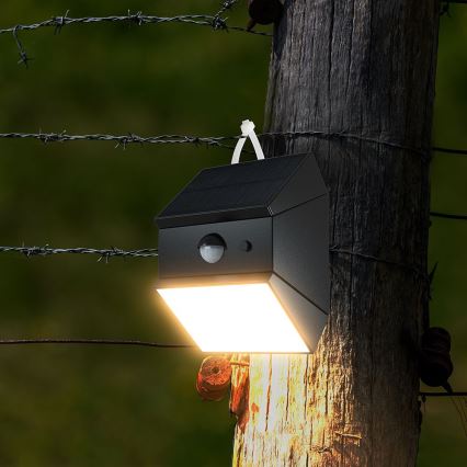 Aplique solar LED de pared con sensor LED/2,5W/3,7V 3000/4000/6000K IP65 1200 mAh negro