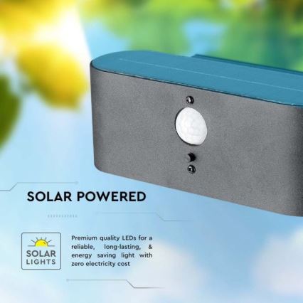 Aplique solar LED de exterior con sensor LED/2,5W/3,7V 3000K IP54 2000 mAh
