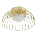 Apliques de techo LED BETSY LED/12W/230V, diámetro 25 cm, dorado