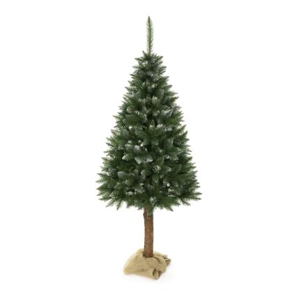 Árbol de Navidad en un tronco 180 cm pícea
