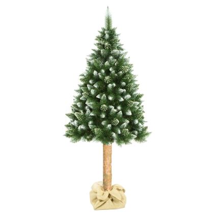 Árbol de Navidad en un tronco de 180 cm pino