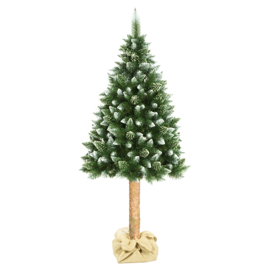 Árbol de Navidad en un tronco de 180 cm pino
