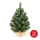 Árbol de Navidad XMAS TREES 50 cm pino