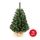 Árbol de Navidad XMAS TREES 70 cm pino
