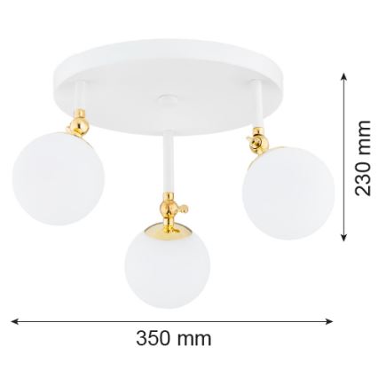 Argon 1434 - Lámpara de techo para el baño LATINA 3xE14/7W/230V IP44 blanco/dorado