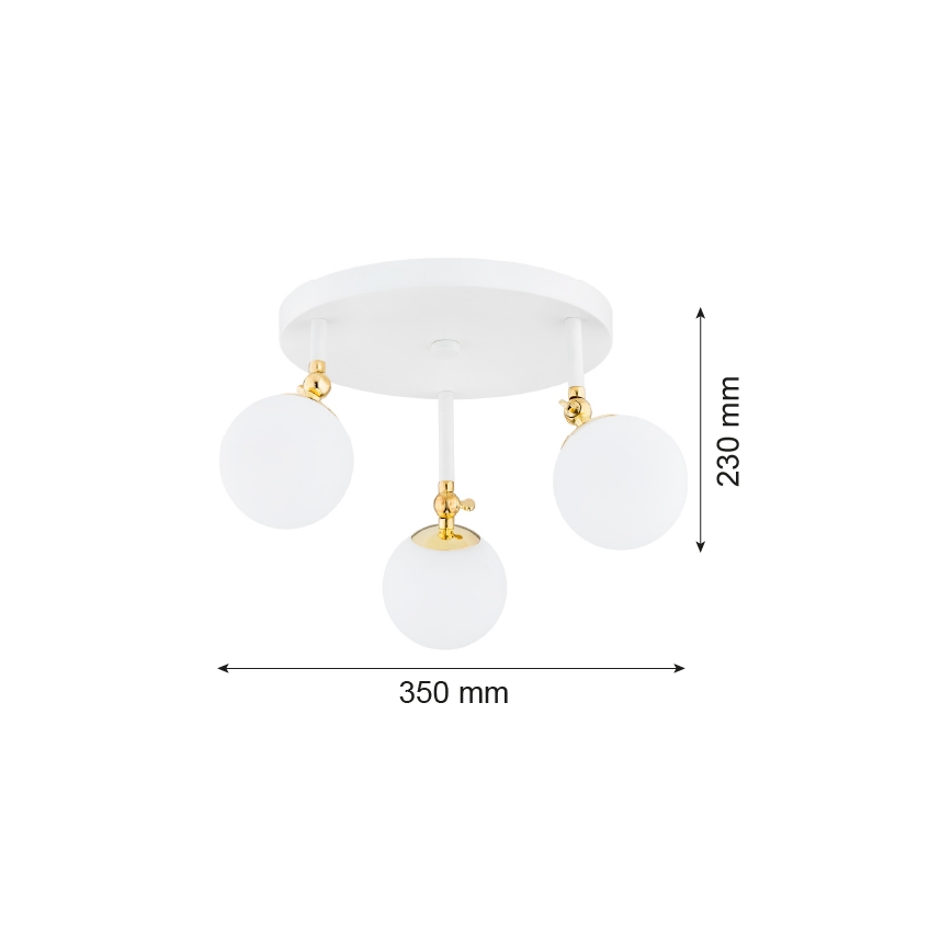 Argon 1434 - Lámpara de techo para el baño LATINA 3xE14/7W/230V IP44 blanco/dorado