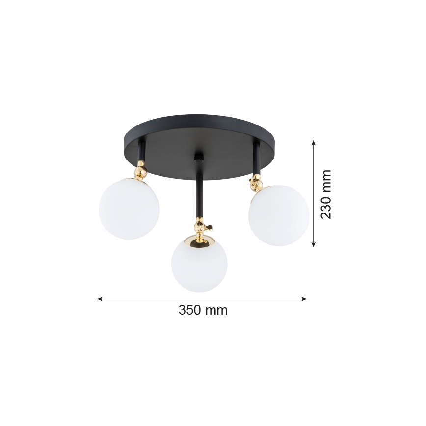 Argon 1436 - Lámpara del baño LATINA 3xE14/40W/230V IP44