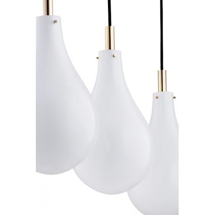 Argon 1741 - Lámpara colgante OAKLAND 4xG9/6W/230V