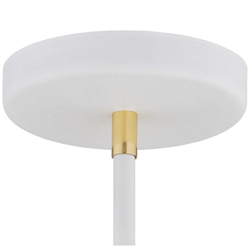 Argon 1773 - Lámpara colgante AVALONE 4xE27/15W/230V blanco/dorado