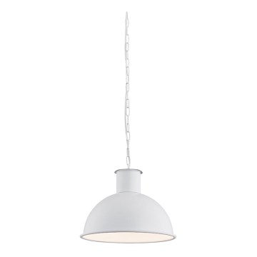 Argon 3193 - Lámpara colgante EUFRAT 1xE27/60W/230V