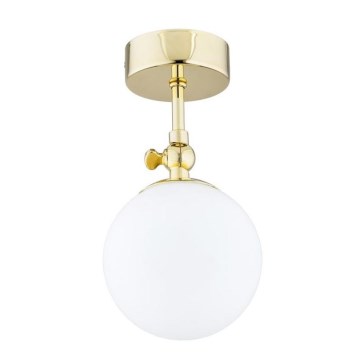 Argon 4001 - Lámpara de techo de superficie para baño LATINA 1xE14/40W/230V IP44