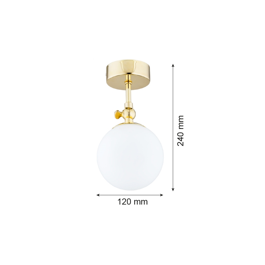 Argon 4001 - Lámpara del baño LATINA 1xE14/40W/230V IP44
