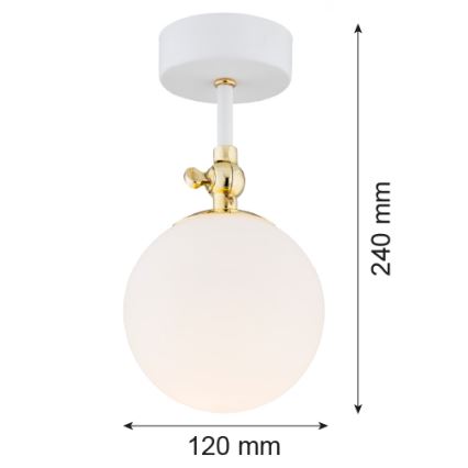 Argon 4002 - Lámpara de techo para el baño LATINA 1xE14/7W/230V IP44 blanco/dorado