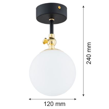 Argon 4003 - Lámpara de techo para el baño LATINA 1xE14/7W/230V IP44 negro/latón