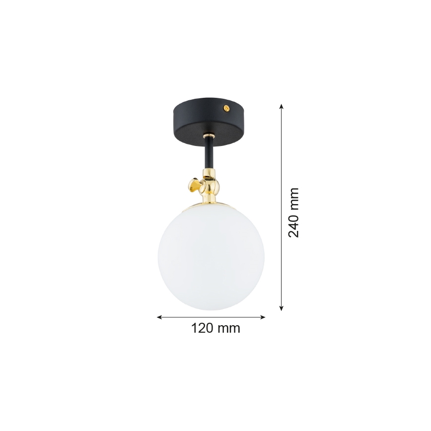Argon 4003 - Lámpara de techo para el baño LATINA 1xE14/7W/230V IP44 negro/latón